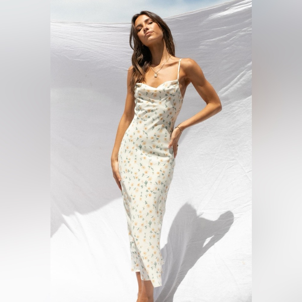 Petal & Pup Demi Dress NWT